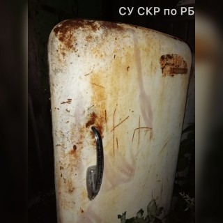 Ребёнок в Башкирии задохнулся в старом холодильнике во время игры в прятки Ребёнок в Башкирии задохнулся в старом холодильнике во время игры в прятки
