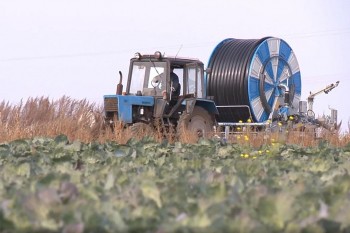 Нижегородская область рассчитывает в 2021 году привлечь на развитие фермерства в рамках нацпроекта в два раза больше федеральных субсидий