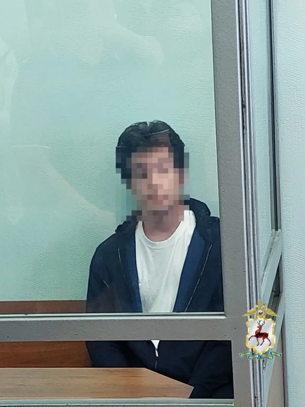 Сыну нижегородского миллионера избрали меру пресечения за ДТП