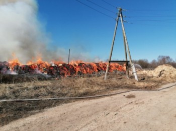 Руководство &quot;Листрейд&quot; и &quot;Вуд Ворд&quot; в Кировской области пойдёт под суд за ущерб природе на 100 млн рублей