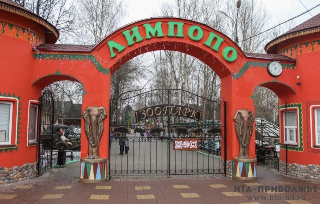 Нижегородцы не смогут увидеть трансляции из вольеров зоопарка "Лимпопо" Нижегородцы не смогут увидеть трансляции из вольеров зоопарка "Лимпопо"