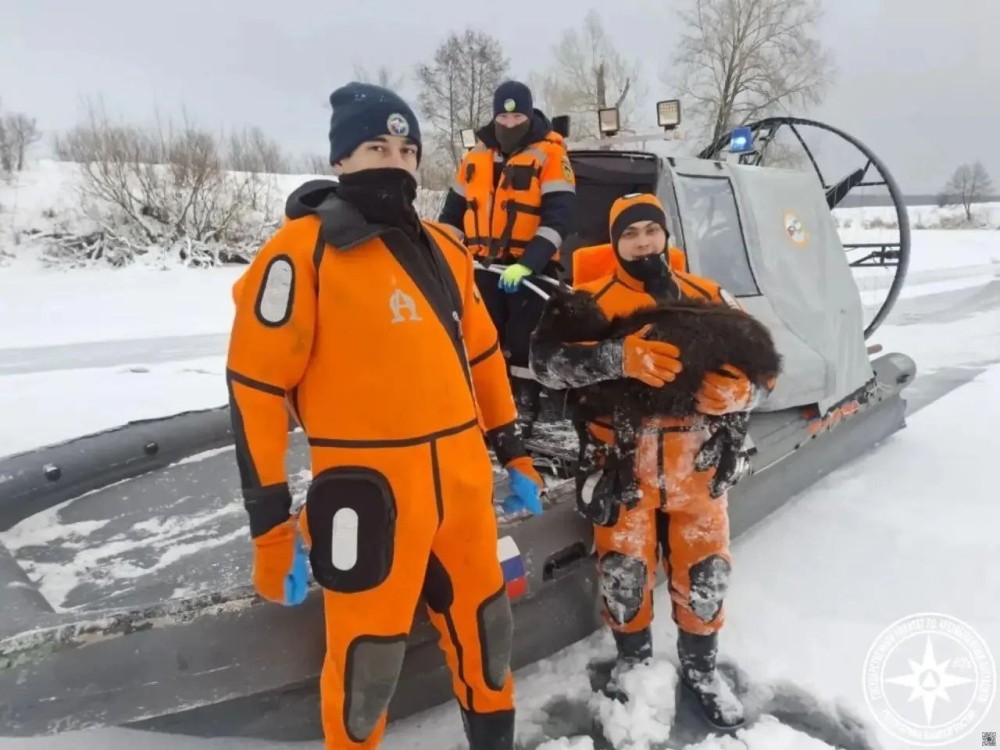 Около 780 трупов овец извлечено из озера в Башкирии