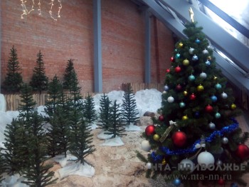 Новогодние елки в Нижнем Новгороде уберут после 13 января