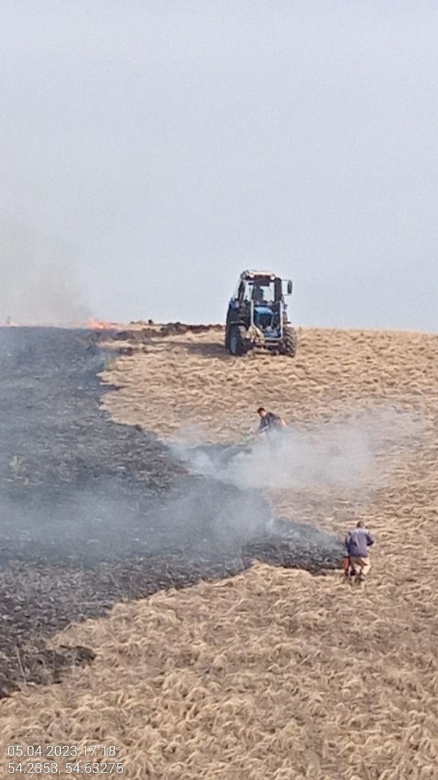 Пожар на 30 га произошёл в природном парке "Аслы-Куль" в Башкирии