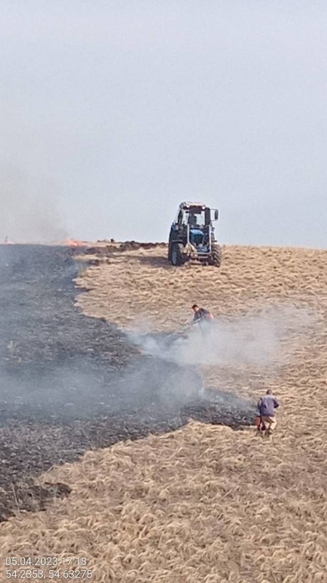 Пожар на 30 га произошёл в природном парке "Аслы-Куль" в Башкирии Пожар на 30 га произошёл в природном парке "Аслы-Куль" в Башкирии