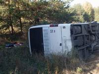 Во Владимирской области экскурсионный автобус, в котором находились школьники из Городецкого района, опрокинулся в кювет, пострадали 6 детей