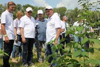 Около 200 производителей АПК приняли участие в сельскохозяйственной выставке &quot;День поля-2021&quot; в Нижегородской области