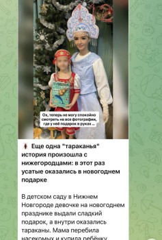 Нижегородская мэрия опровергла данные о тараканах в детских новогодних подарках