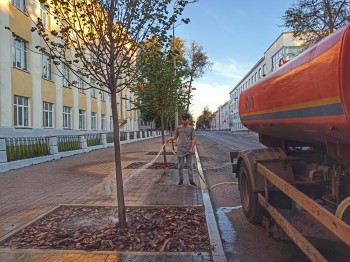 Приживаемость зеленых насаждений в Нижнем Новгороде находится на постоянном контроле