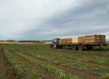 Полевые работы стартовали в Кировской области