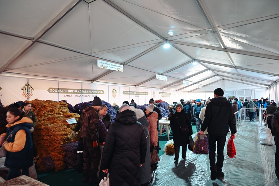 56 тонн семенного материала продано на выставке "Картофель" в Чебоксарах