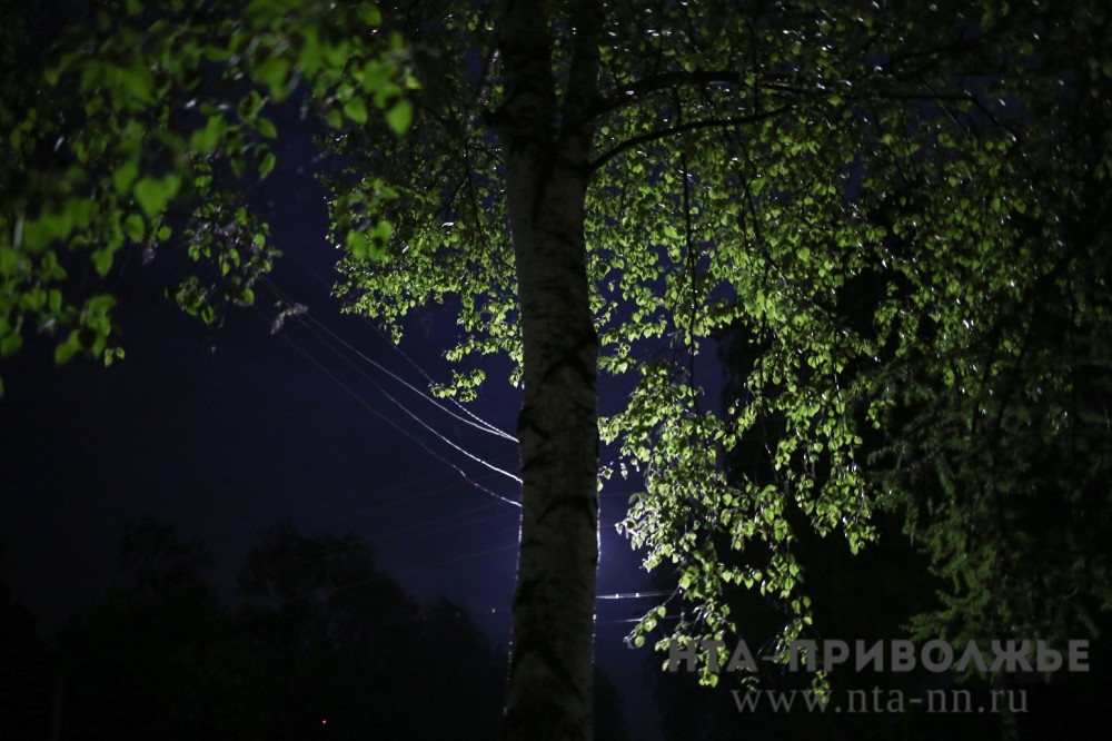 Волчьи следы нашли на территории Урал-Тау в Башкирии