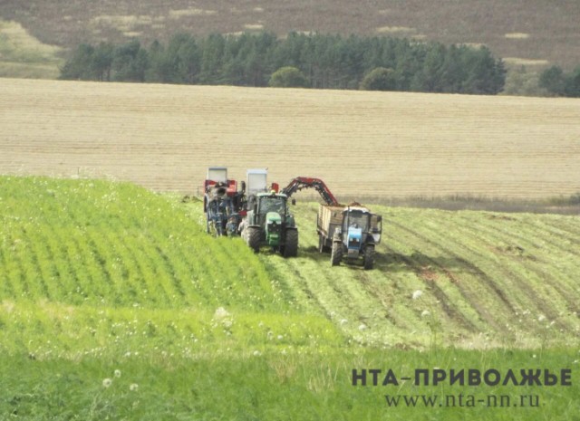 Оренбургские аграрии засеяли первый миллион гектаров
