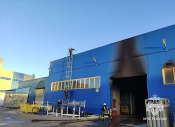 Пожар на производстве ликвидировали в городе Бор Нижегородской области