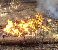 Нижегородские пожарные в минувшие сутки 48 раз выезжали на тушение травы и мусора