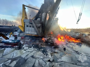 МЧС опубликовало фото пожара в Сибирском затоне под Нижним Новгородом