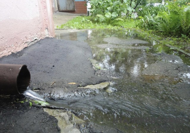 Штрафы за незаконный слив стоков ассенизаторами увеличат в Нижнем Новгороде