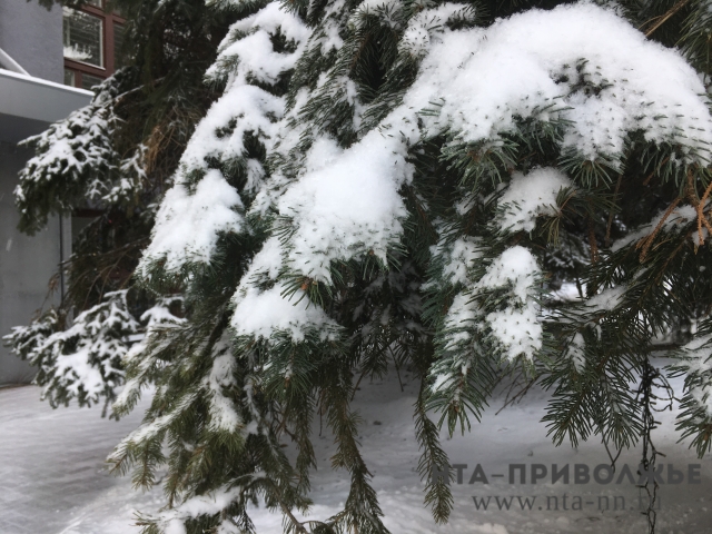 Сильный снегопад и ветер ожидаются в Нижегородской области 21 декабря Сильный снегопад и ветер ожидаются в Нижегородской области 21 декабря