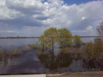 Несколько СНТ в Нижнем Новгороде оказались в зоне подтопления