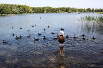 Бережём детей: нижегородцам дали советы по профилактике летнего травматизма Бережём детей: нижегородцам дали советы по профилактике летнего травматизма