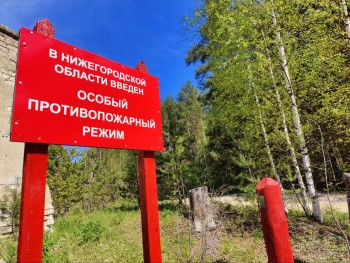 Нижегородцам рекомендуется воздержаться от посещения лесов в праздничные дни