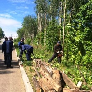 Работы по благоустройству этнокомплекса "Амазония" ведутся в Чебоксарах Работы по благоустройству этнокомплекса "Амазония" ведутся в Чебоксарах