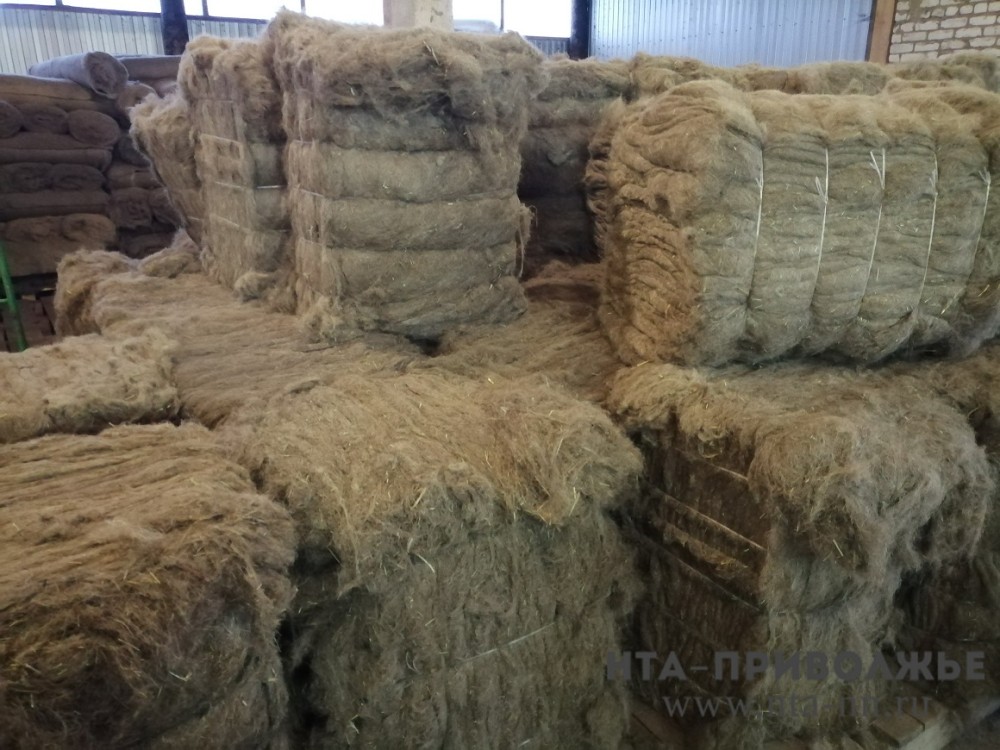 Завод по переработке технической конопли откроют в Татарстане