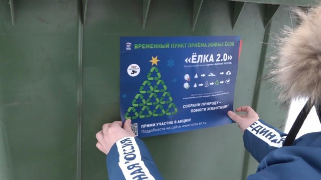 "ЁЛКА 2.0": в Нижегородской области стартовала экологическая акция по правильной утилизации живых новогодних деревьев
