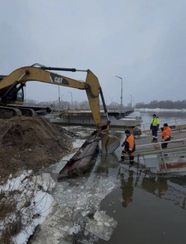 Дата возобновления работы наплавного моста в Павлове пока не определена