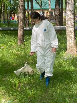 Пять укусов клещей зарегистрировано в Нижегородской области с начала сезона