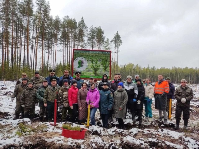 Работники ГЖД высадили 6 тыс. саженцев деревьев в рамках международной акции 