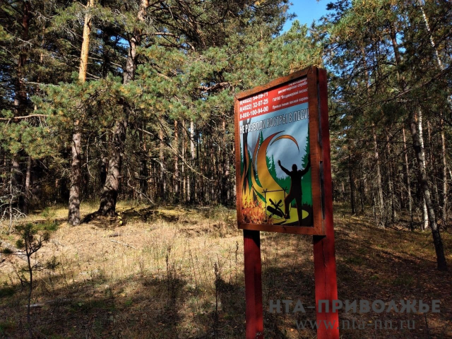 Акция "Останови огонь!" стартовала в лесах Нижегородской области Акция "Останови огонь!" стартовала в лесах Нижегородской области