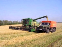 Минсельхоз России предлагает выделить пострадавшим от засухи регионам 6 млрд. рублей

