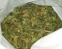 Нижегородские наркополицейские изъяли более 3,5 кг наркотиков растительного происхождения

