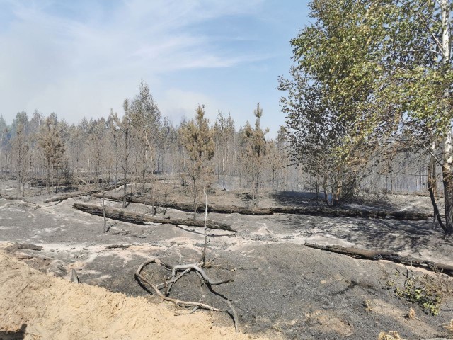 Площадь горения леса в Воротынском районе Нижегородской области сократилась до 18 га. 