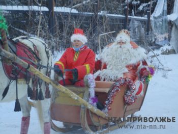 Праздничным флешмобом встретили нижегородцы Деда Мороза из Великого Устюга