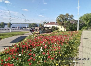 195 территорий вынесли на голосование по благоустройству в Саратовской области 195 территорий вынесли на голосование по благоустройству в Саратовской области