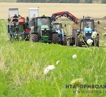 Урожай-2026: посевные площади в Нижегородской области превысят 1 млн га