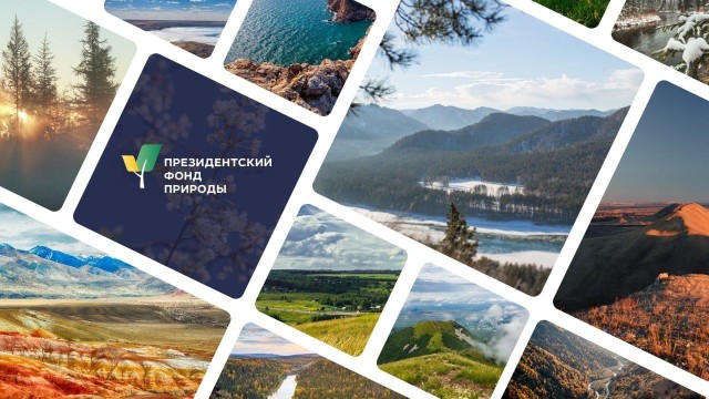 Нижегородцы могут принять участие в первом конкурсе Президентского фонда природы Нижегородцы могут принять участие в первом конкурсе Президентского фонда природы