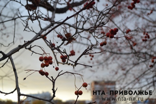 Прохладная погода без осадков ожидается в Нижегородской области в середине недели Прохладная погода без осадков ожидается в Нижегородской области в середине недели
