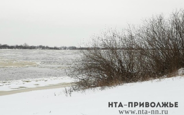 Наплавной мост заменят паромом при сдвиге льда на Оке в Павлове Наплавной мост заменят паромом при сдвиге льда на Оке в Павлове