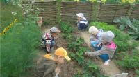 Сенсорный сад открылся в ДОУ №201 города Чебоксары, сообщает горадминистрация