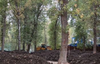 Тропиночную сеть нижегородского парка им. 1 Мая сохранят в прежних границах