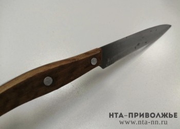 Ученик лицея №37 в Нижнекамске напал на уборщицу с ножом