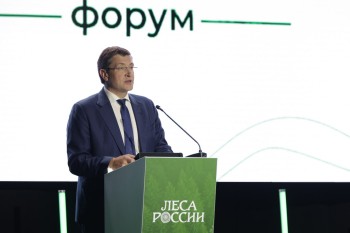 Предварительные итоги лесного хозяйства РФ подведут в Нижнем