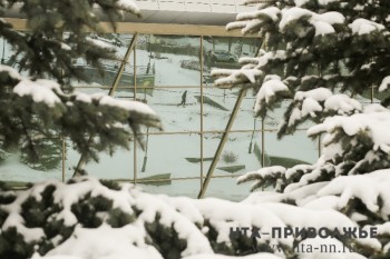 Аномальные морозы ожидаются на этой неделе в Саратовской и Ульяновской областях