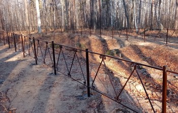 Памятник природы &quot;Баевское дерево&quot; благоустроили в Ульяновской области 