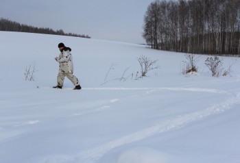 Нижегородская область стала одним из семи пилотных регионов России по инновационным методам подсчета животных