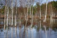 Всемирный день водно-болотных угодий отмечается 2 февраля