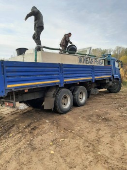 Сезон зарыбления водоемов стартовал в Оренбуржье